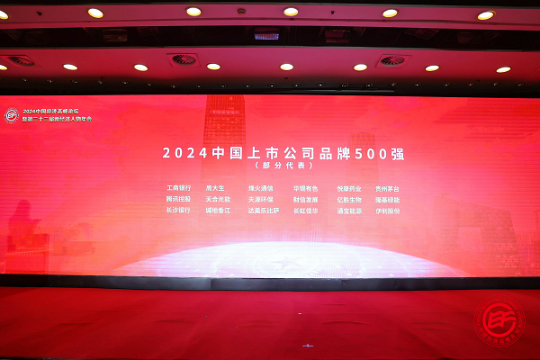 500强部分现场展示.png