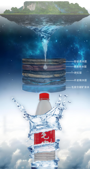 1739870446662.png