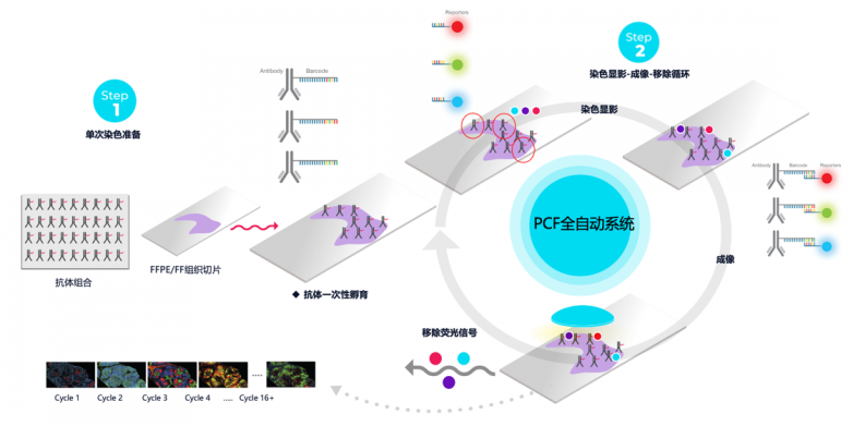 0418图片1.png