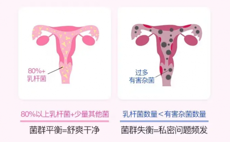图片 3.png