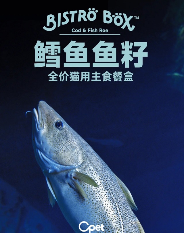 微信图片_20250523141129.jpg