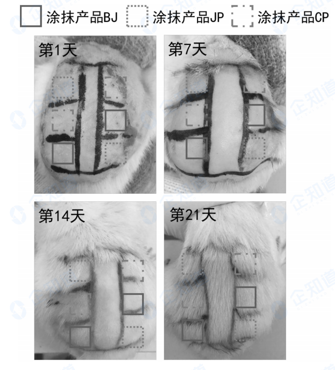 脱发有救了！独一份的毛发生长发明专利！_https://www.izongheng.net_快讯_第2张