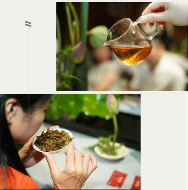 微信图片_20250704133557.png