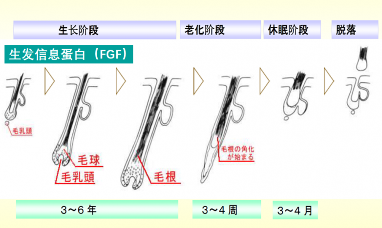 黑奥秘持续用国家专利成分，让人人都有一头好发！_https://www.izongheng.net_快讯_第3张
