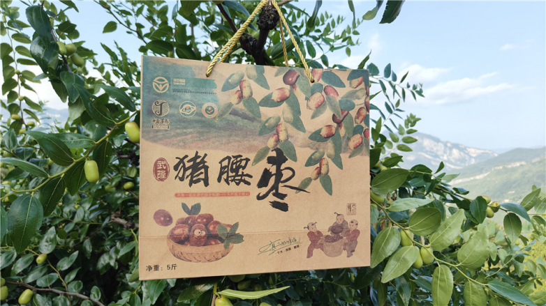 图片3.png