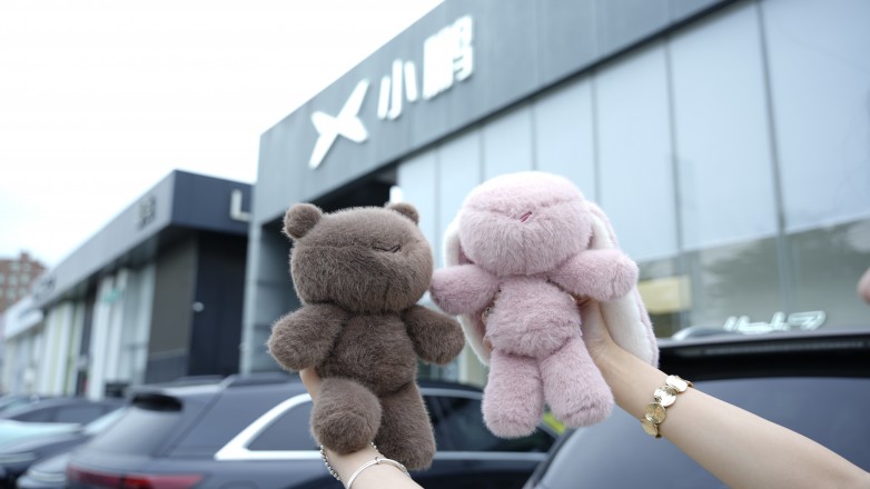 第7张.JPG