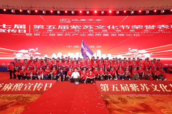 图片8.png