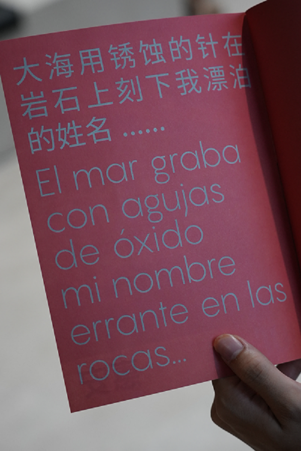 图片29.png