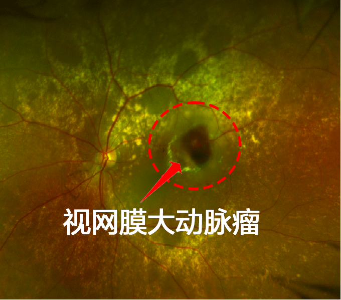 1760767504804957.png