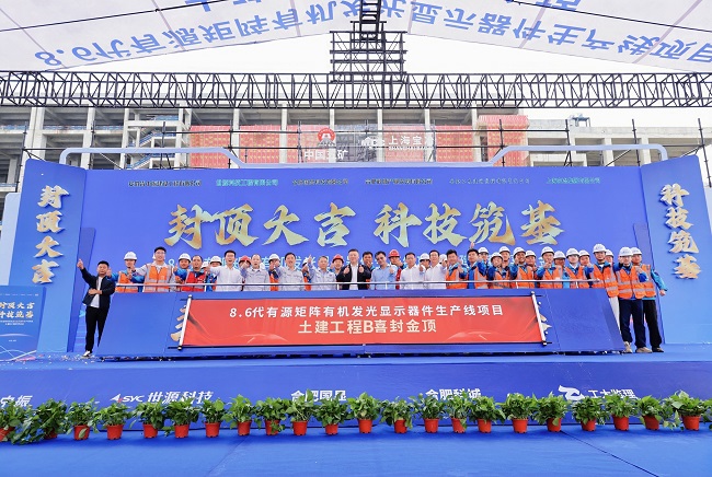 协同作战，使命必达：上海宝冶确保8.6代AMOLED生产线项目土建工程B标段按期封顶
