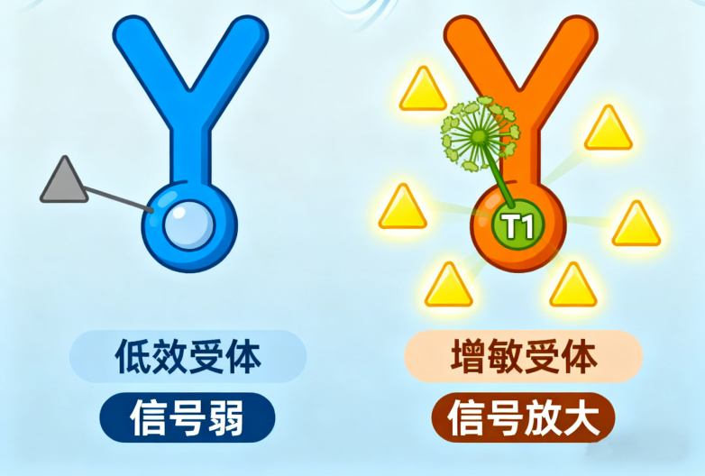 微信图片_20250926132651.png