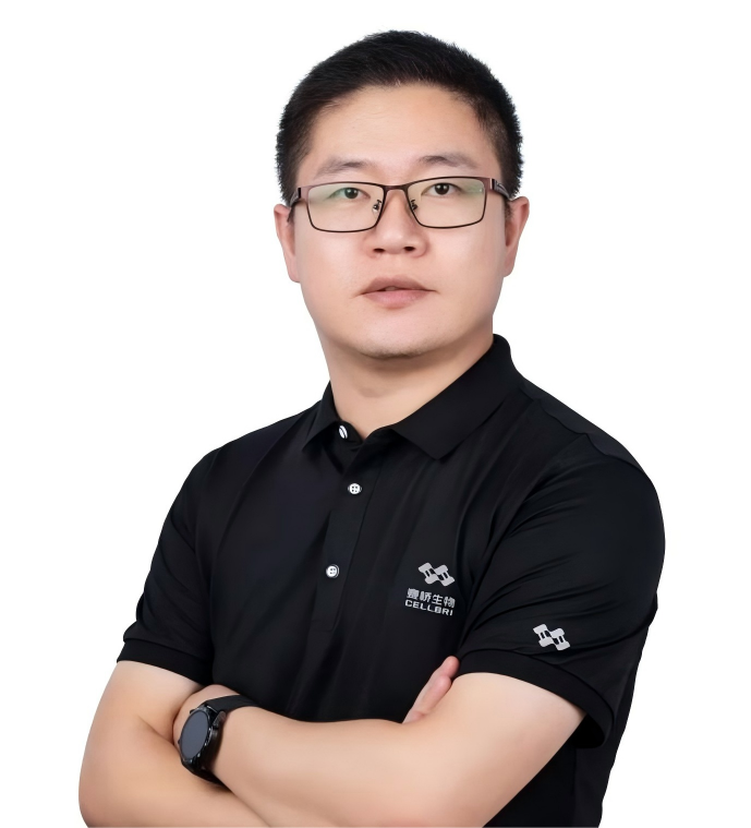 kappframework-NTViBJ(1)(1).png