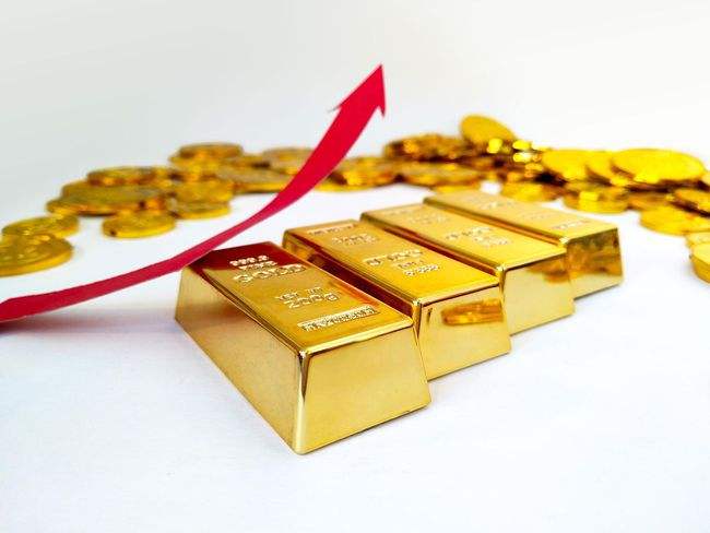 1763102094829126.jpeg 1 (56).jpeg