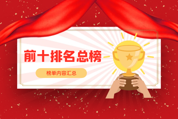1763535589163865.png 前十排名总榜.png