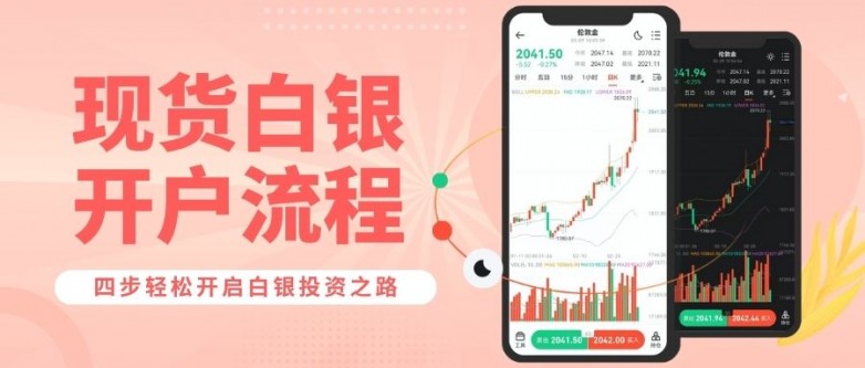 国内正规白银交易平台有哪些？买卖现货白银合规平台精选攻略_https://www.izongheng.net_快讯_第2张