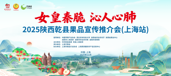 1764556265375768.png image.png