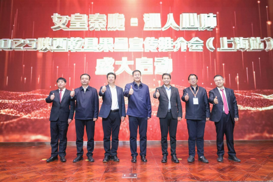 1764556454821363.png image.png