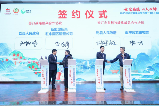 1764556494916081.png image.png