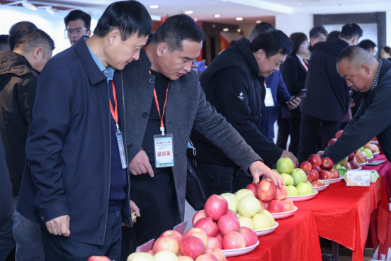 1764556605766222.png image.png