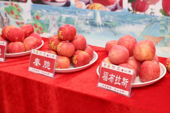 1764556674994017.png image.png