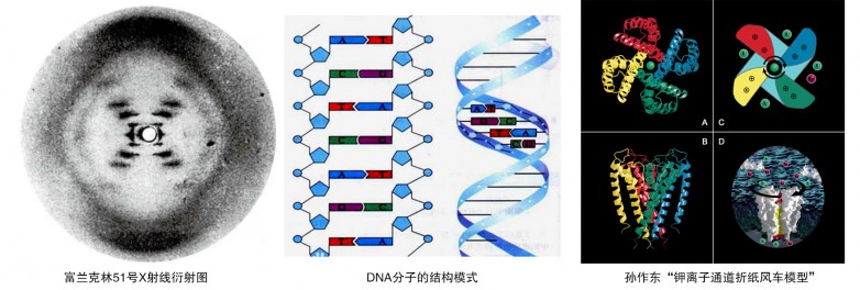 DNA.jpg