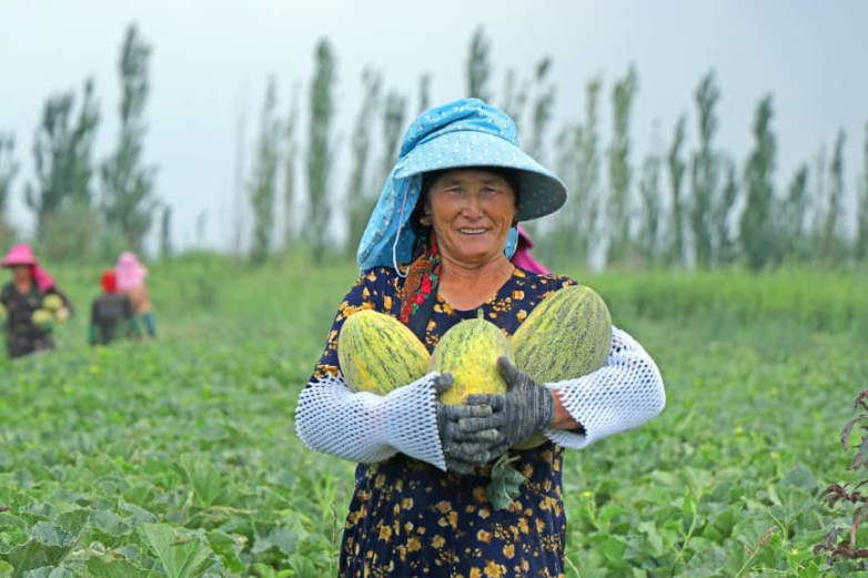 “疆品南下 粤品北上”：“三力”练就跨越山海的百亿工程
