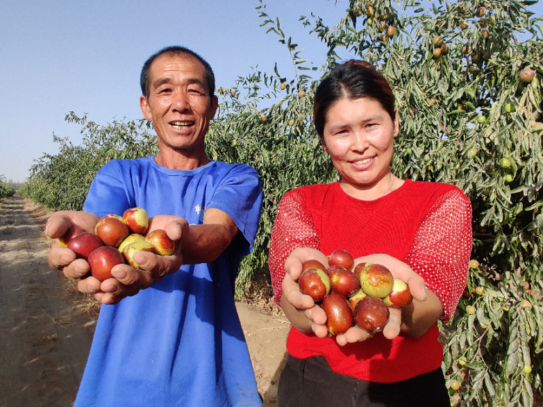 “疆品南下 粤品北上”：“三力”练就跨越山海的百亿工程