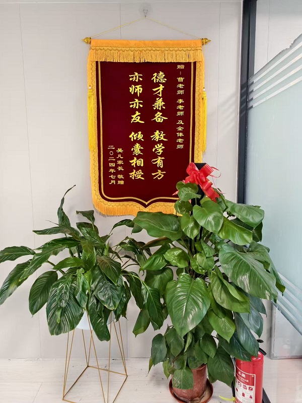 1767162554609928.jpg 3.jpg