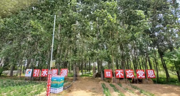 1767175736660356.png image.png