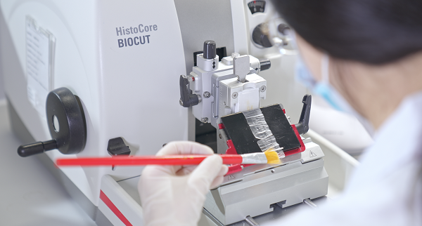 1767684741932516.png 配图1.png