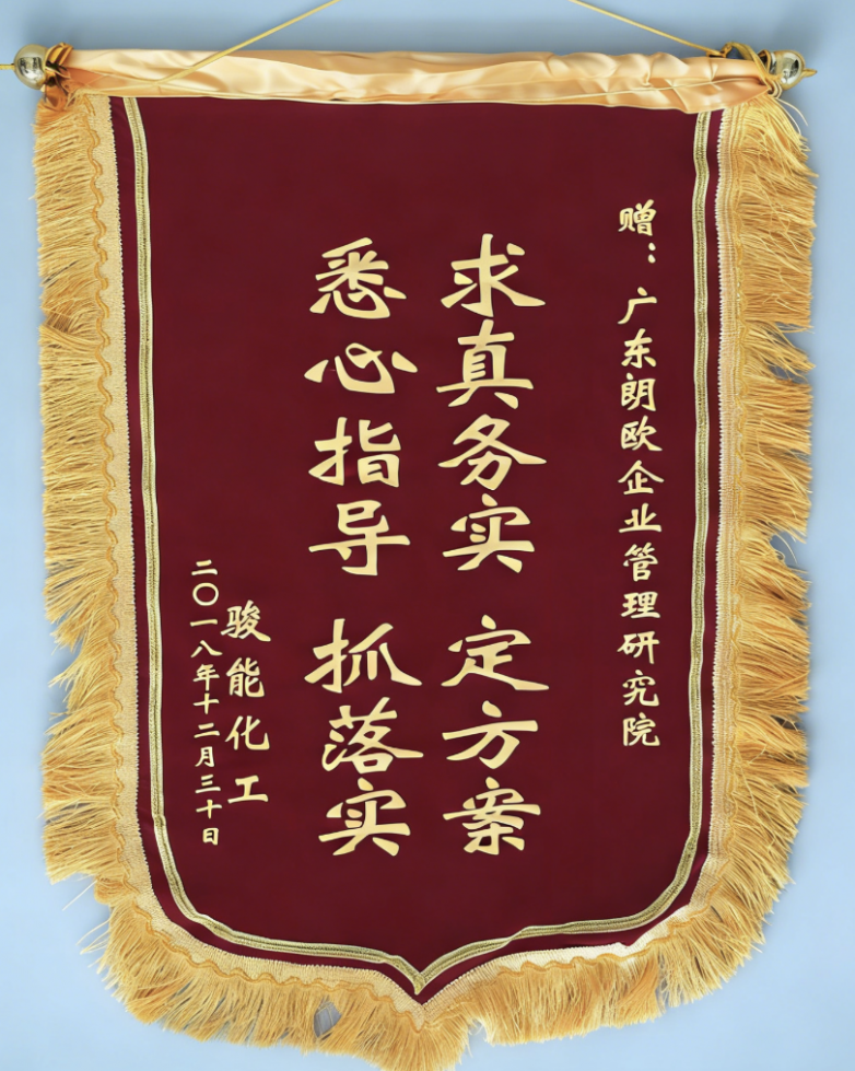 骏能化工赠朗欧咨询锦旗 骏能化工赠朗欧咨询锦旗
