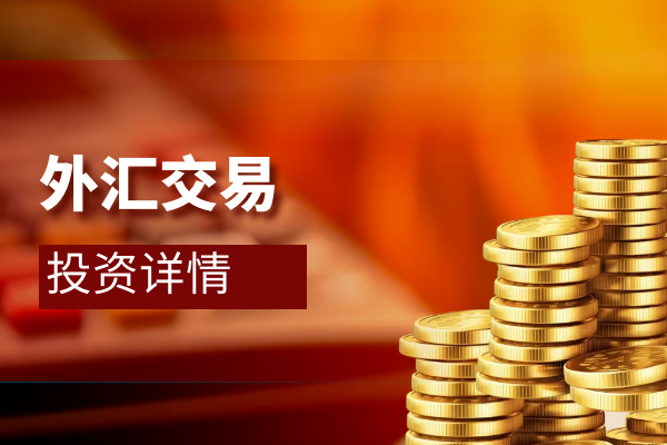 外汇交易投资详情.png