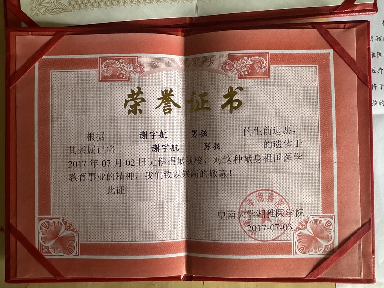 十年守望：從角膜捐獻到愛心回響