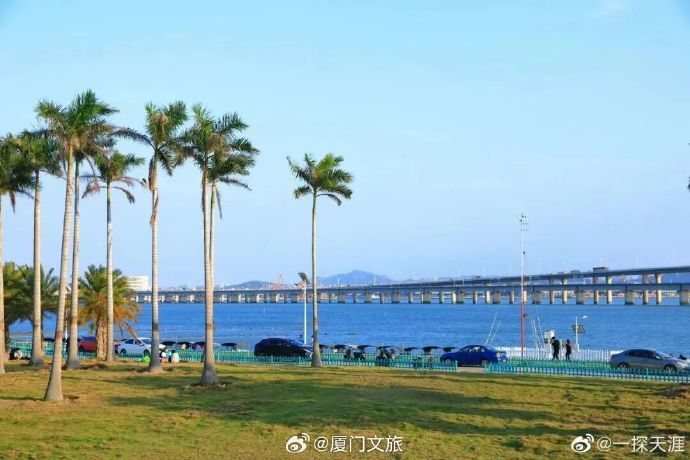 1772100835895289.png 10.png