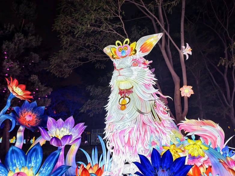 1772269225396550.jpg 15ff697f-d45e-420f-bf8b-65a64ba1eee8.jpg