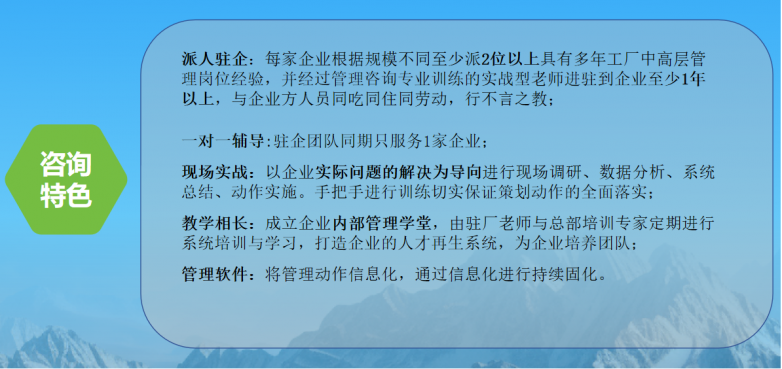 朗欧咨询服务特色.png