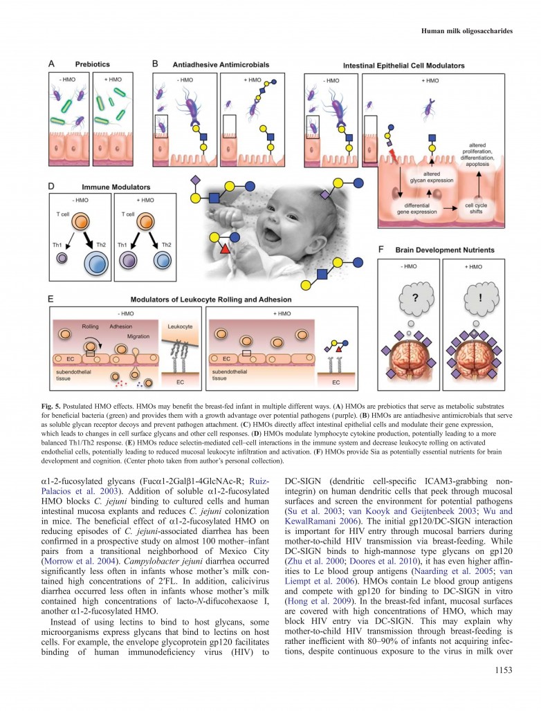 瑞士儿童营养品牌NORO查证过众多科研资料后，坚定让HMOs作为配方的核心，研发从根源调理易敏体质的5R免疫配方体系