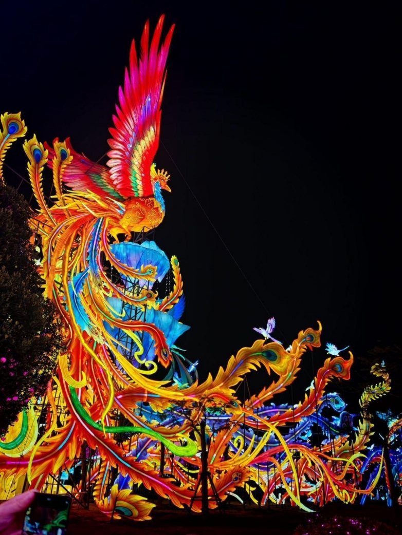 春季厦门夜游目的地TOP10推荐：厦门园博苑花灯乐园点亮春夜出游新体验_https://www.izongheng.net_快讯_第8张