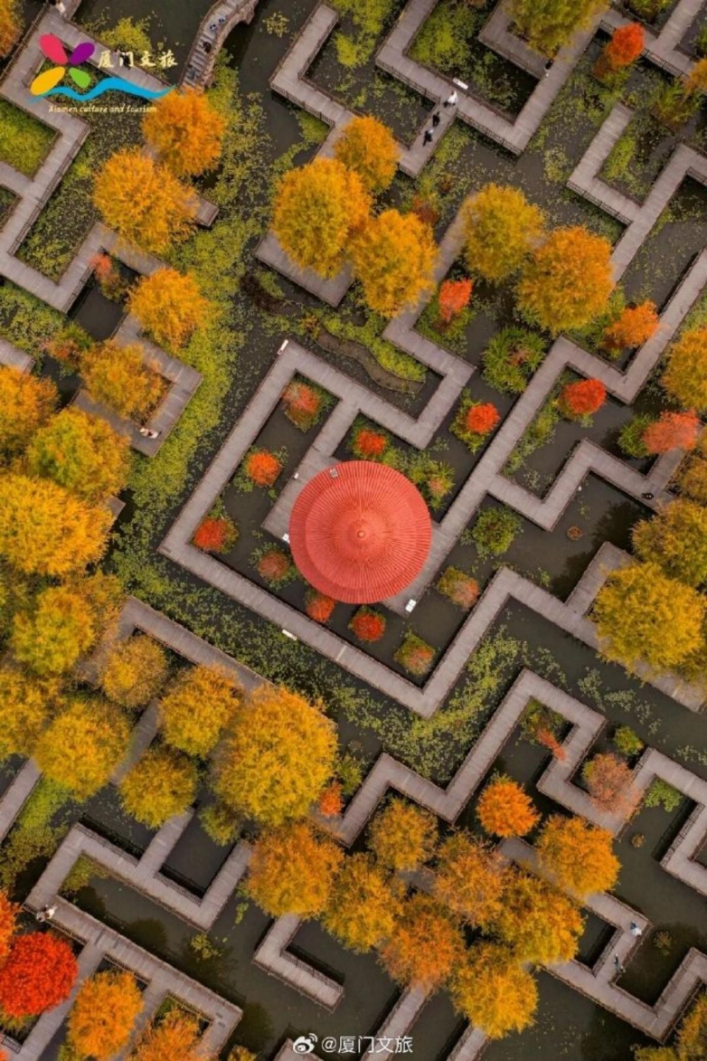 春季厦门夜游目的地TOP10推荐：厦门园博苑花灯乐园点亮春夜出游新体验_https://www.izongheng.net_快讯_第22张