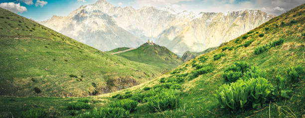 1774433851604121.png 28f12a6e-3f7f-418e-8aa7-39d13a396d40.png