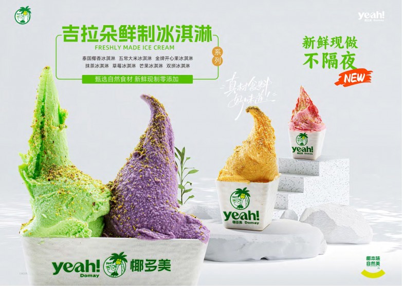1774514930350477.jpg 椰多美 品牌招商手册_11.jpg