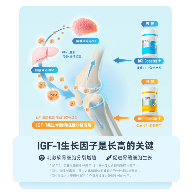 生长因子增敏剂(1)(1).png
