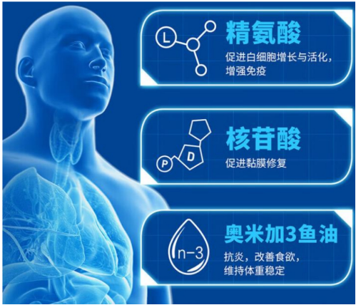 放化疗期间白细胞下降，哪些营养品有助于提升免疫力？