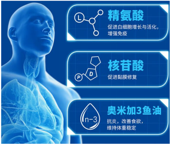 2026年肿瘤营养新认知：化疗前营养支持，为何强调“免疫”二字？