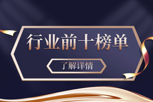 行业前十榜单详情.png