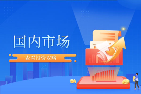 国内市场.png