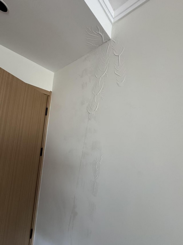 微信图片_20260421172004_460_2.jpg