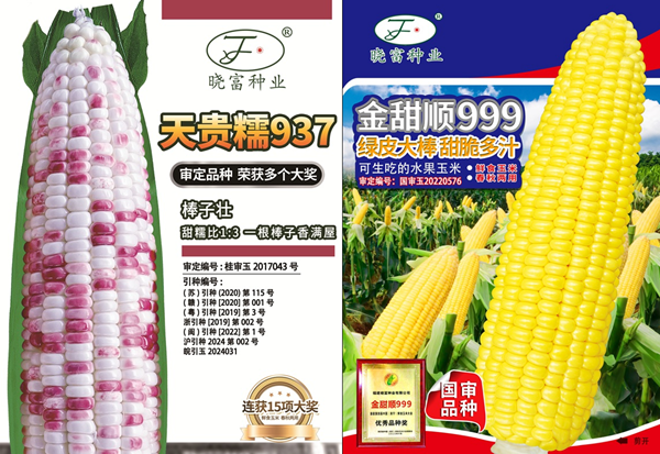 选种不用愁!神农赞种子超市,晓富41年品质护航+神农AI智能助力 选种不用愁!神农赞种子超市,晓富41年品质护航+神农AI智能助力