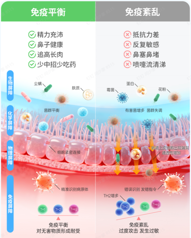 瑞士NORO发现免疫的失衡可能是孩子反复过敏，抵抗力差，过敏性鼻炎高发的根本原因