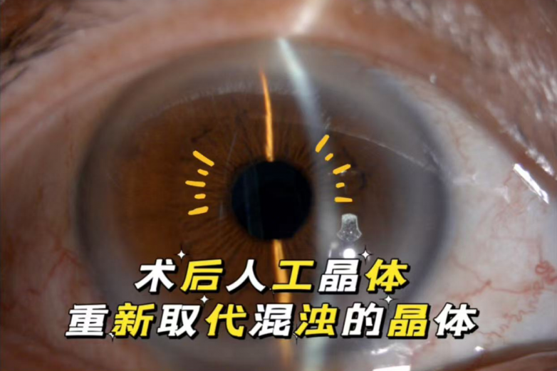 1779068455911175.png